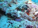 DSC00585.JPG