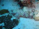 DSC00586.JPG