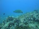 DSC00587.JPG
