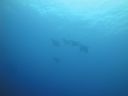 DSC00588.JPG