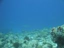 DSC00590.JPG