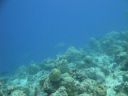 DSC00591.JPG