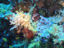 DSC00606.JPG