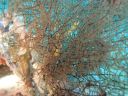 DSC00608.JPG