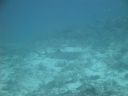 DSC00614.JPG
