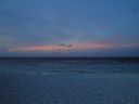 DSC00633.JPG