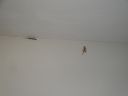 DSC00635.JPG