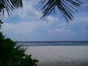 DSC00637.JPG