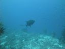 DSC00639.JPG