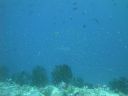 DSC00640.JPG