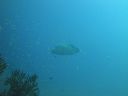 DSC00642.JPG