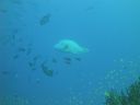 DSC00643.JPG