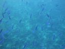 DSC00644.JPG