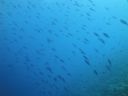 DSC00645.JPG