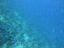 DSC00646.JPG