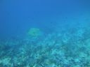 DSC00649.JPG