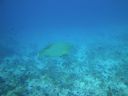 DSC00650.JPG