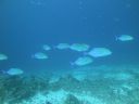 DSC00651.JPG