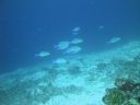 DSC00652.JPG