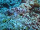 DSC00653.JPG