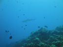 DSC00668.JPG