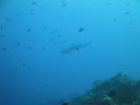 DSC00670.JPG