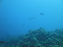 DSC00679.JPG