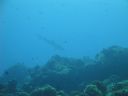 DSC00686.JPG