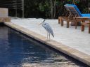 DSC00688.JPG
