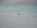 DSC00693.JPG