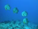 DSC00701.JPG