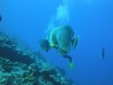 DSC00702.JPG
