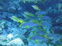 DSC00705.JPG