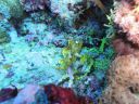 DSC00713.JPG