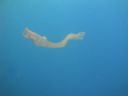 DSC00722.JPG