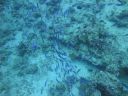 DSC00725.JPG