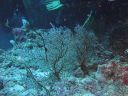 DSC00736.JPG