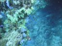 DSC00737.JPG