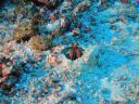 DSC00741.JPG