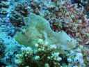 DSC00744.JPG