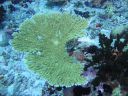 DSC00746.JPG
