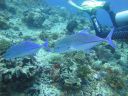 DSC00749.JPG