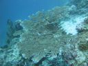 DSC00751.JPG