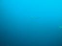 DSC00762.JPG