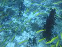 DSC00767.JPG