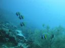 DSC00769.JPG