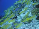 DSC00773.JPG