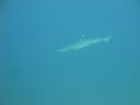DSC00795.JPG