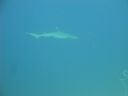 DSC00796.JPG