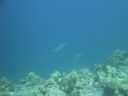 DSC00798.JPG